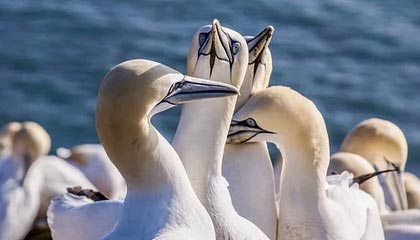 开云体育_ NBA全明星周末 精彩瞬间回顾，nba全明星开幕式视频