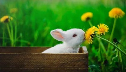 开云体育_ 决胜局的重要性：历史性的关键时刻，决胜局是什么