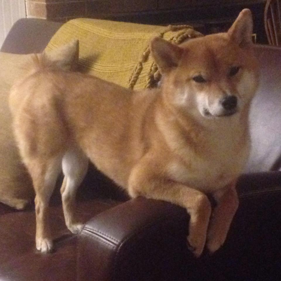 _环城骑行寻宝:运动与探索相结合的趣味旅程_,城市骑行活动