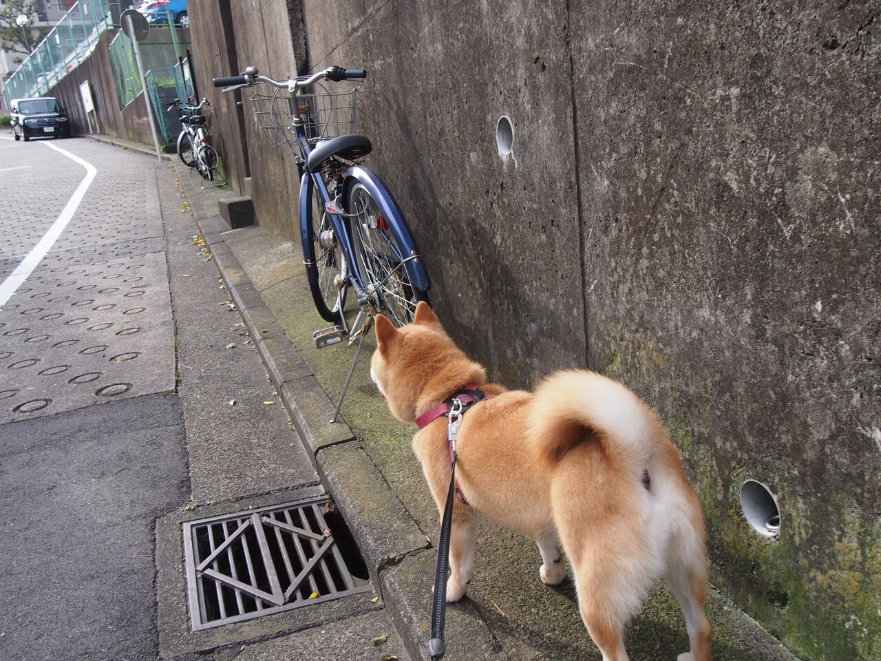 内线对决：意甲球队的“攻防两端”战略，意甲身体对抗