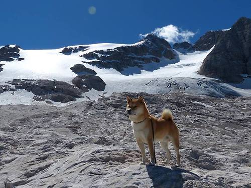 国脚归队备战,提升国家队竞争力,国足归化国脚