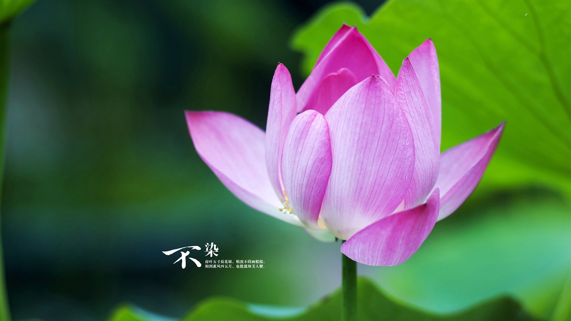 意甲紧张厮杀,教练分析比赛亮点,意甲教练年薪排行