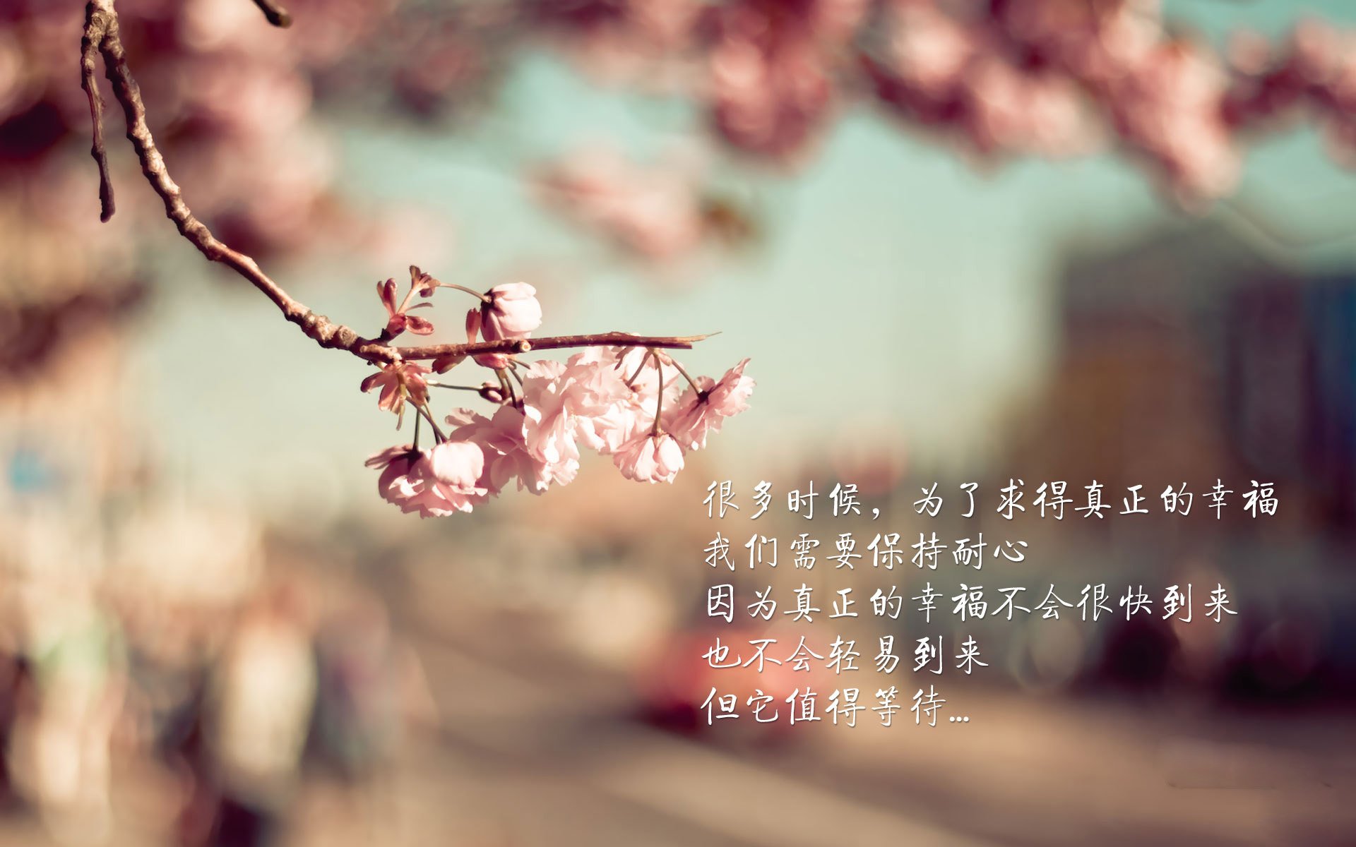 最先进的车身材料带来极速体验,较先进的车体材料