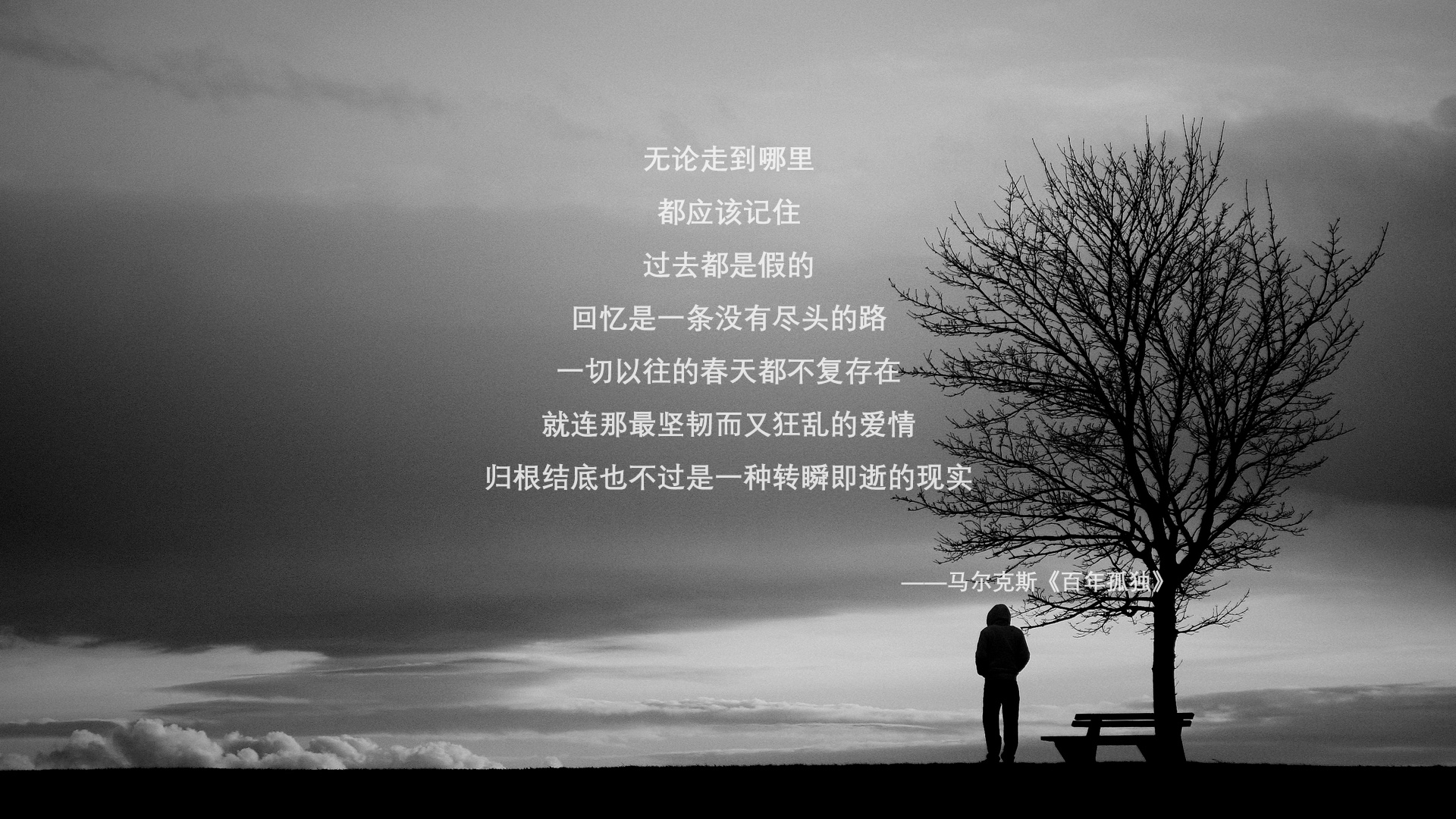 英格兰骑手安娜·史密斯在巴黎奥运会障碍赛中获得铜牌，表现出色。