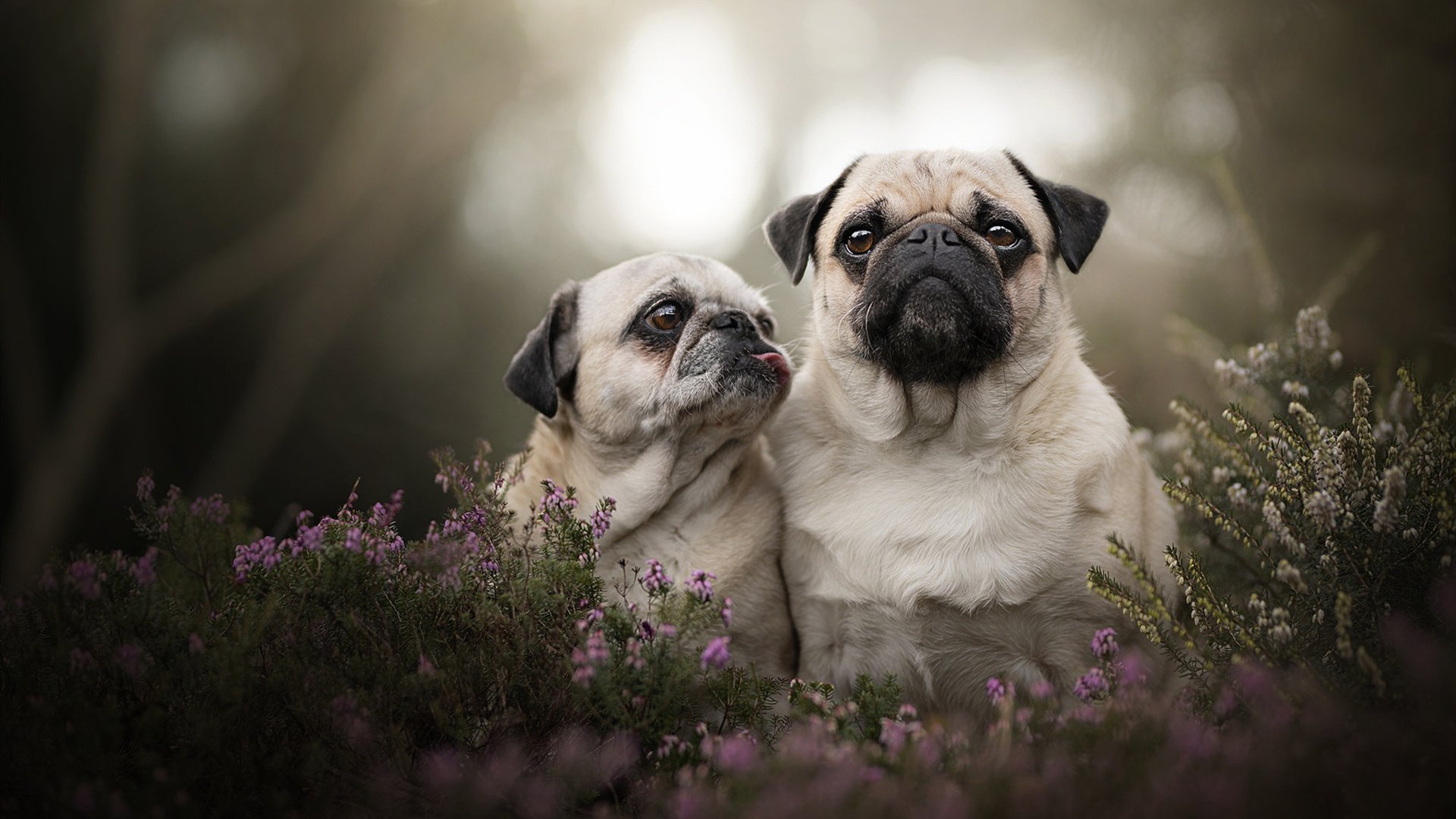 青少年裁判员“理论+实战”强化培训在全国持续展开,行业公平公正不断提升