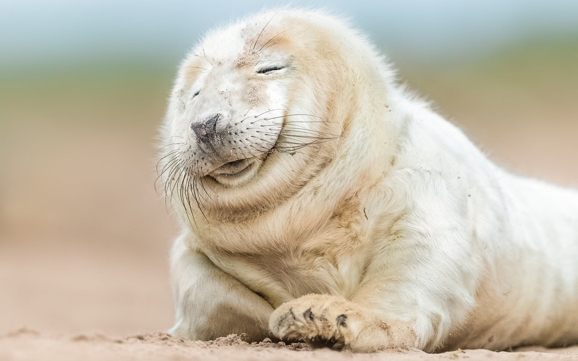 76人收购电竞战队表现亮眼,76人队官网