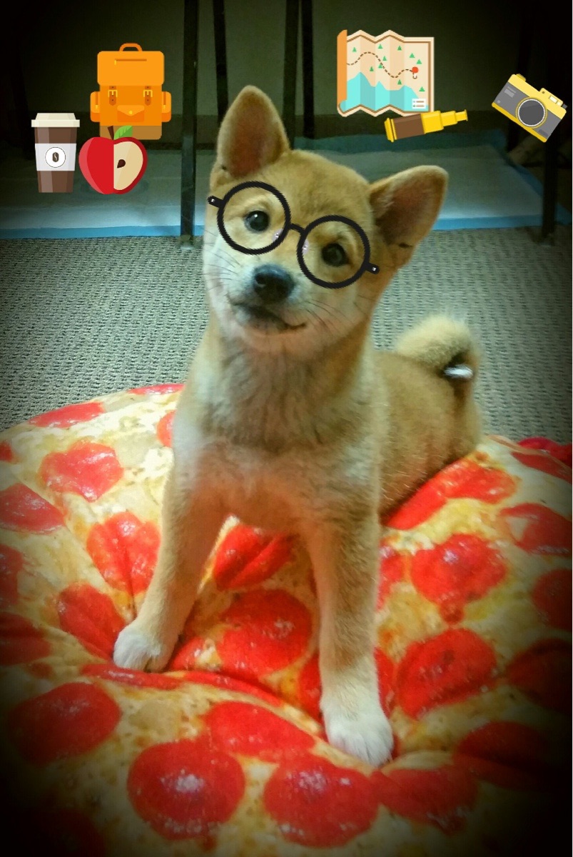 奥地利球员状态迷人,准备对抗捷克,奥地利队厉害吗