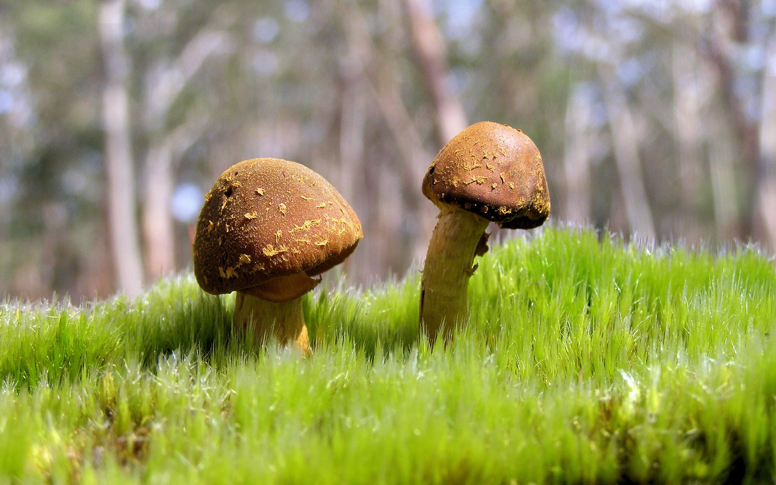 泰国球队豪取连胜，晋级前景一片光明，泰国足球联赛球队排名