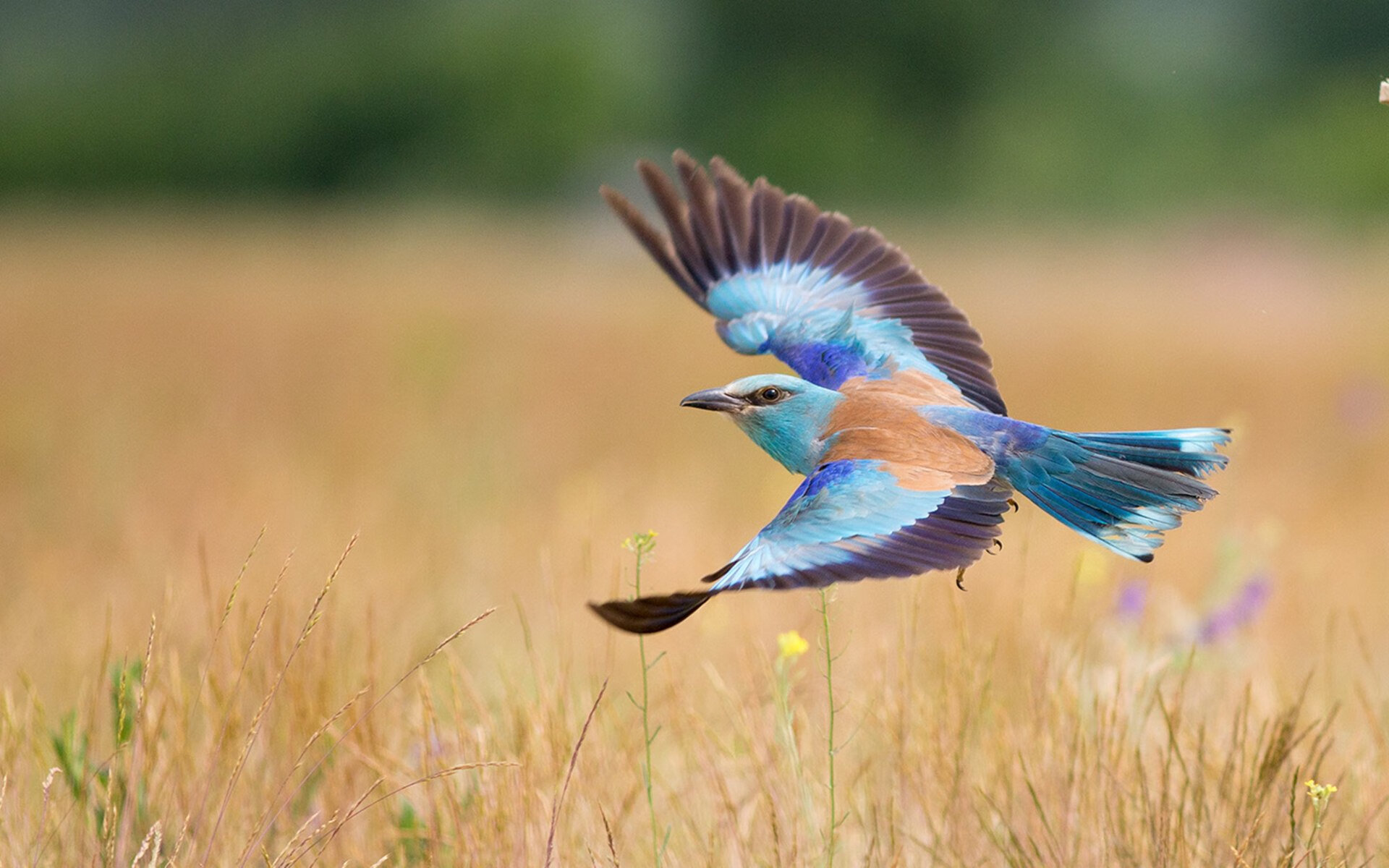 赛场风云激荡,中国女足发挥出色,请问中国女足