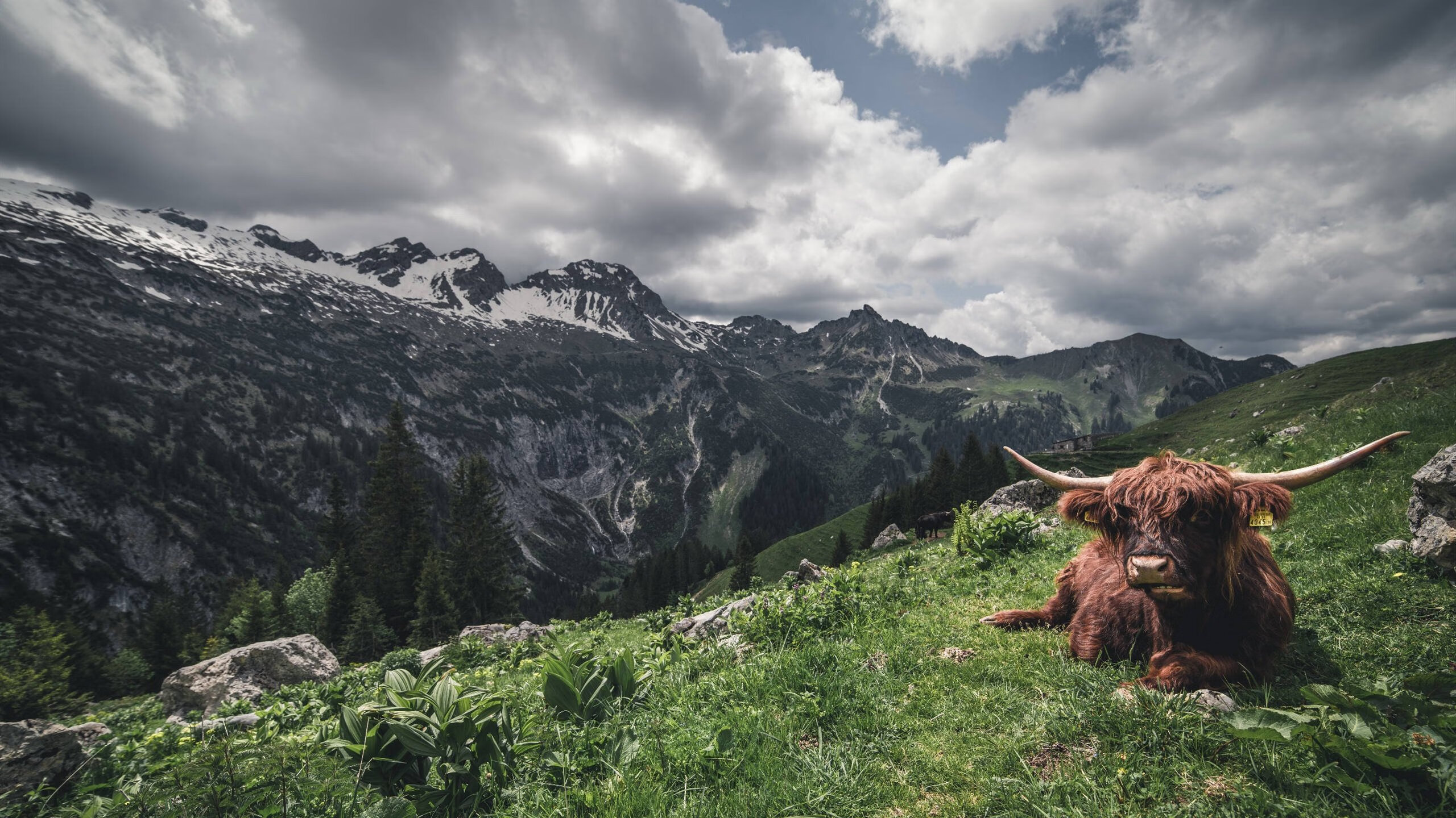 中国篮球联赛球队管理模式创新探索,篮球队管理系统