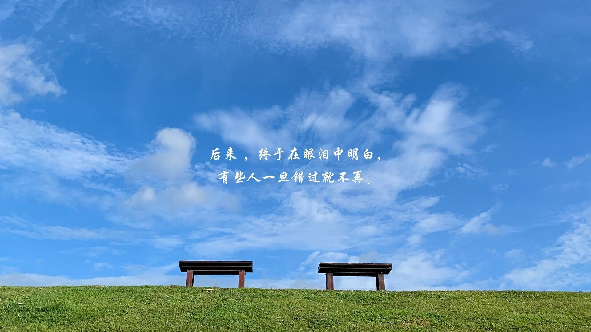 全国青少年攀岩锦标赛顺利举办,攀岩青少年标准赛道