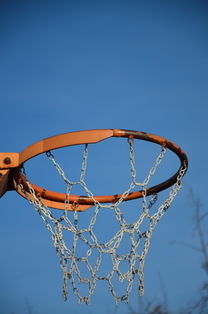 篮球运动员专项体能训练计划智能化设计与实施，篮球运动员体能训练的内容有哪些