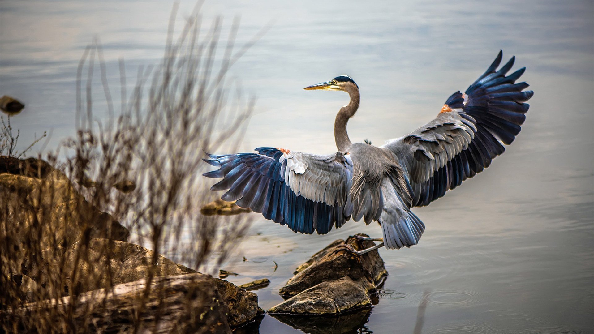 精彩绝伦:本赛季最震撼的七场比赛回顾,s7经典比赛