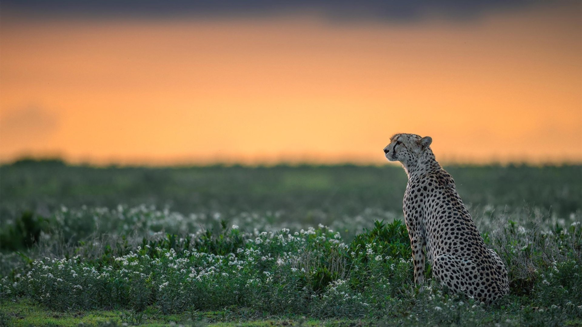 中国三人女篮发展潜力巨大 期待未来辉煌,中国三人女篮选手