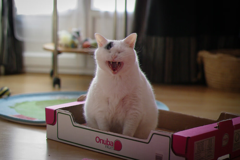 中国男篮集训名单公布新人云集引热议,中国男篮集训队