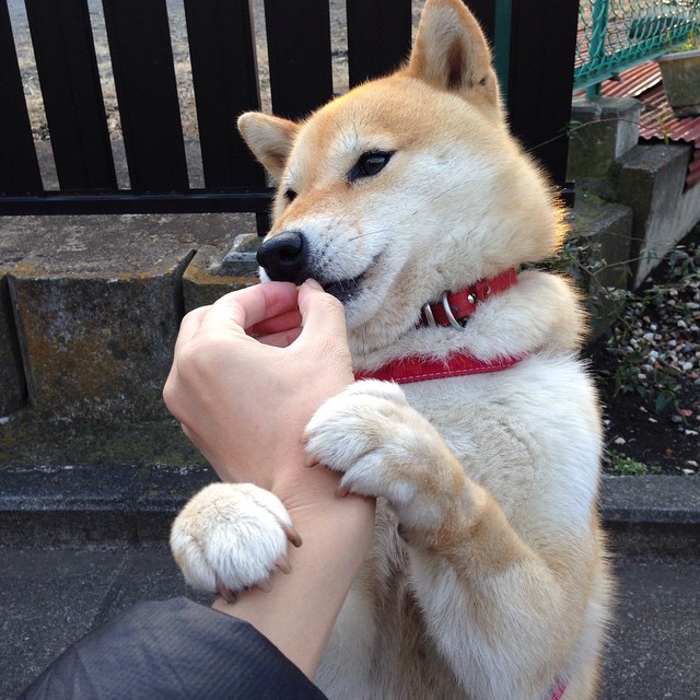 体育新闻中心推动基层体育赛事直播技术升级，体育赛事直播的好处