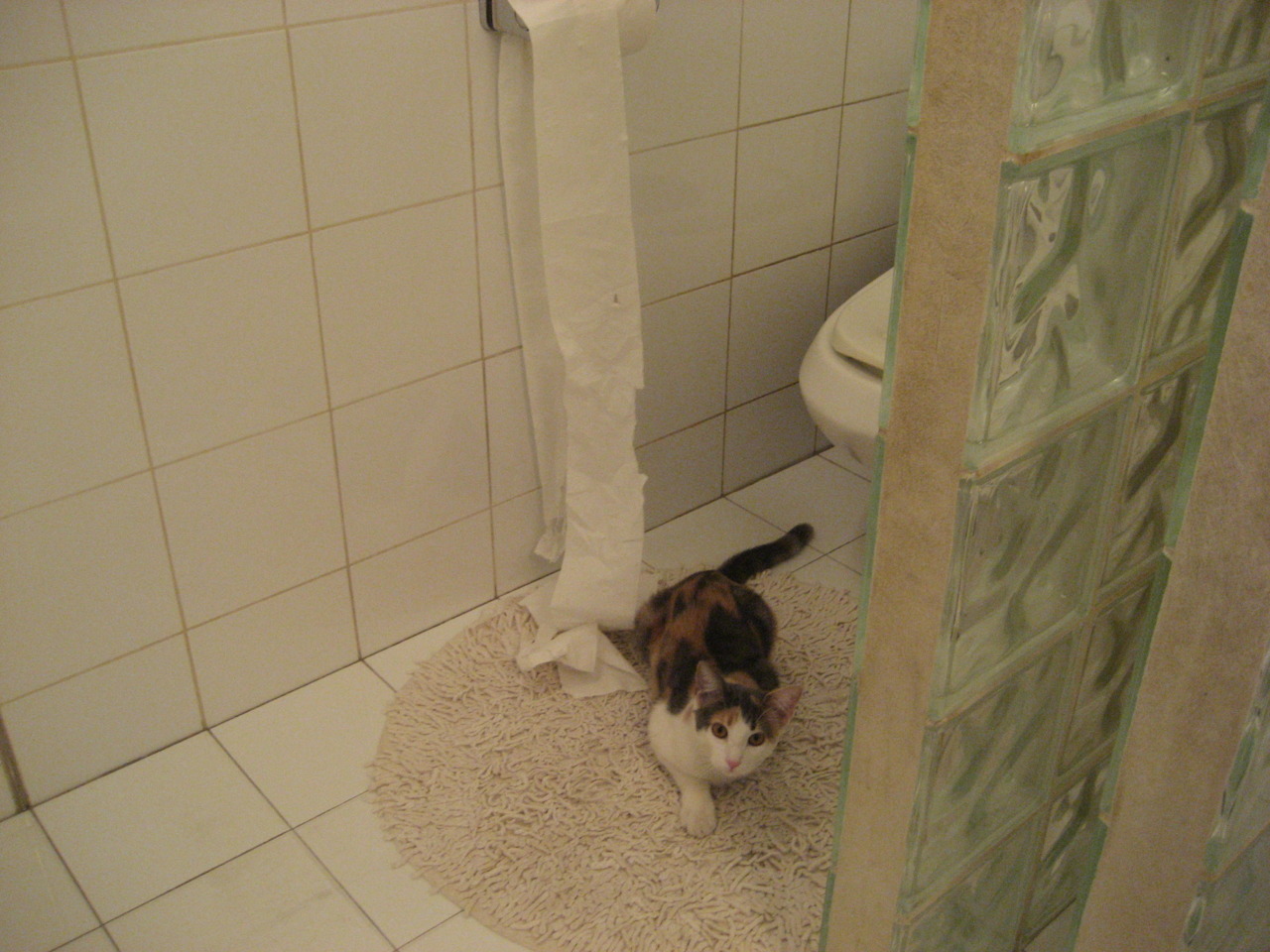 阿尔及利亚 U18 队被评价经验丰富,备战充分,阿尔及利亚后备联赛ds