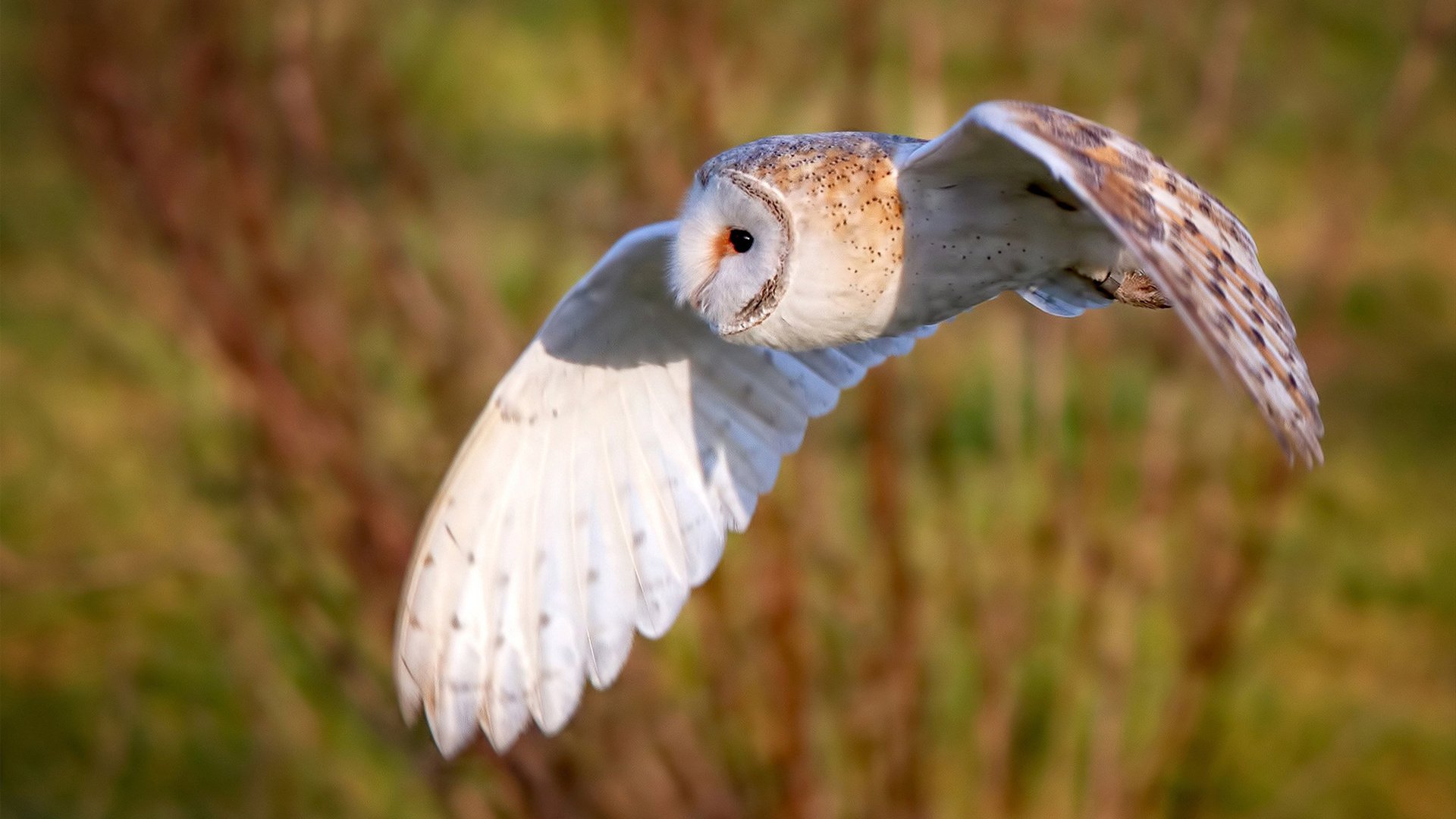 全队利用国际比赛日时间强化体能储备迎接密集赛程挑战