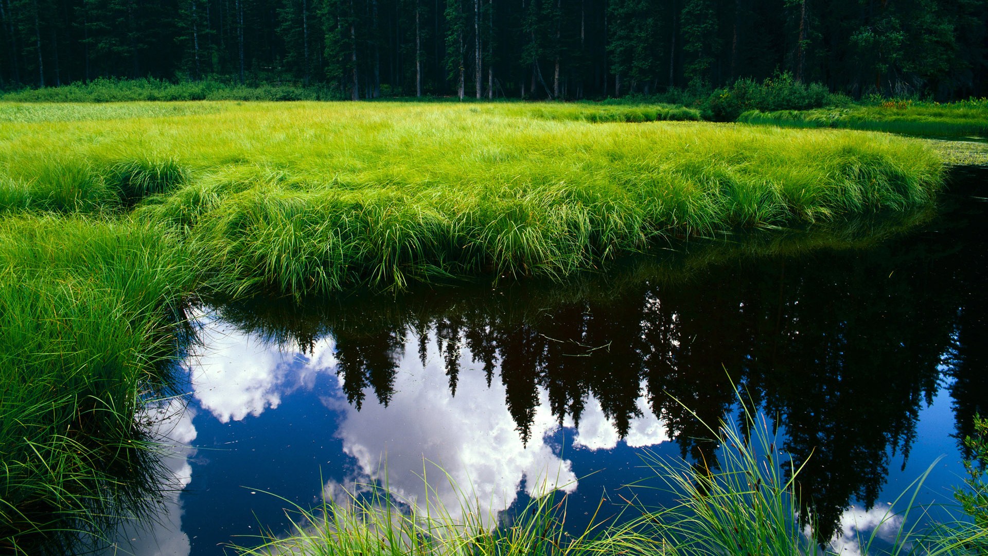 卡普尔精确的传球助力袋鼠队无缝衔接攻守，卡尔美袋鼠皮足球鞋怎么样
