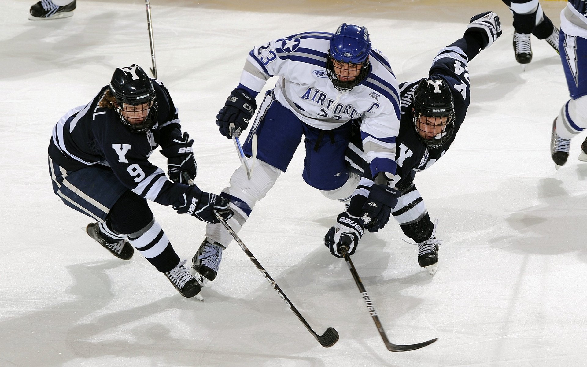NBA联盟启动“亚裔月”活动，表彰华裔球迷贡献，nba中的亚洲人